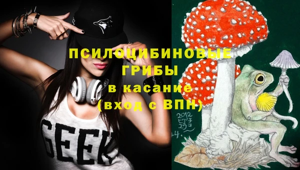 стаф Алексеевка