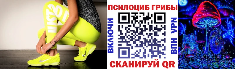 Псилоцибиновые грибы MAGIC MUSHROOMS Константиновск